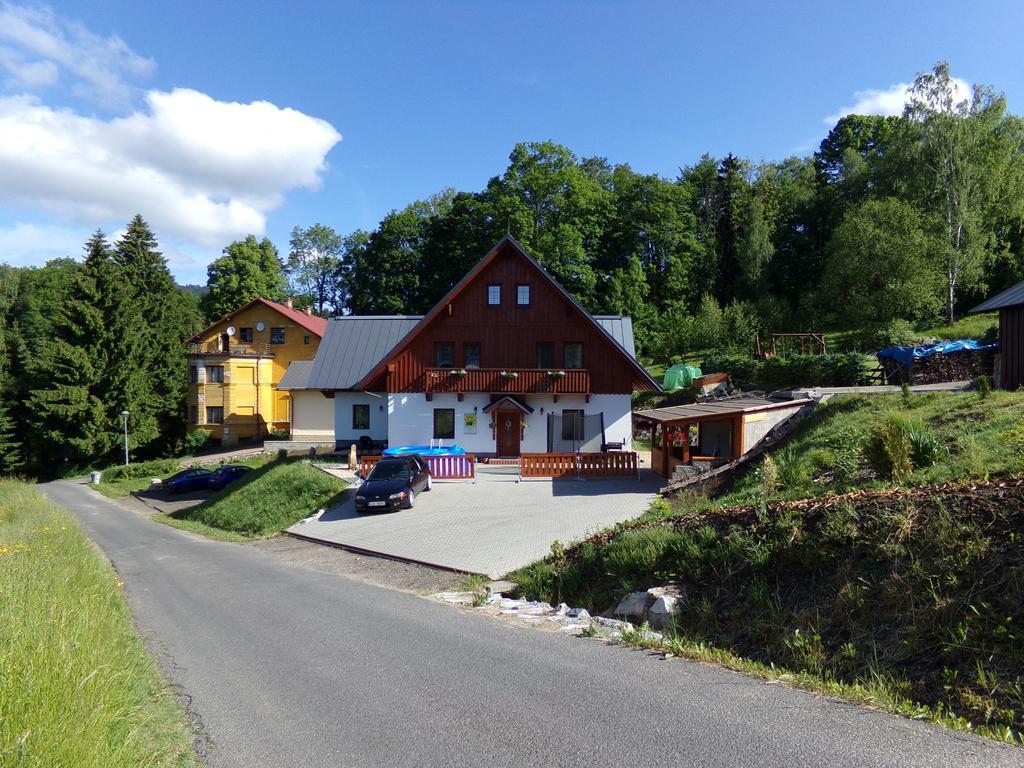 Apartment Nedrik Rokytnice nad Jizerou Værelse billede